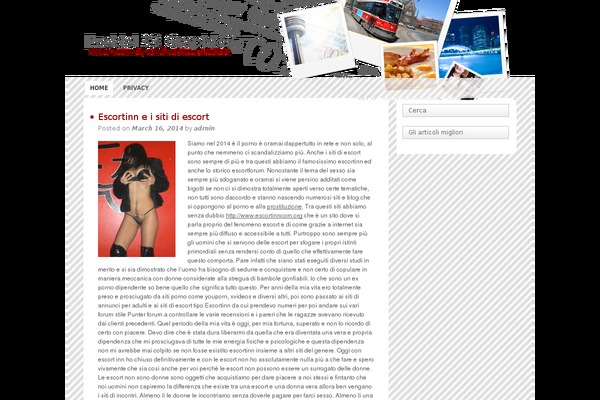 Toronto theme site design template sample