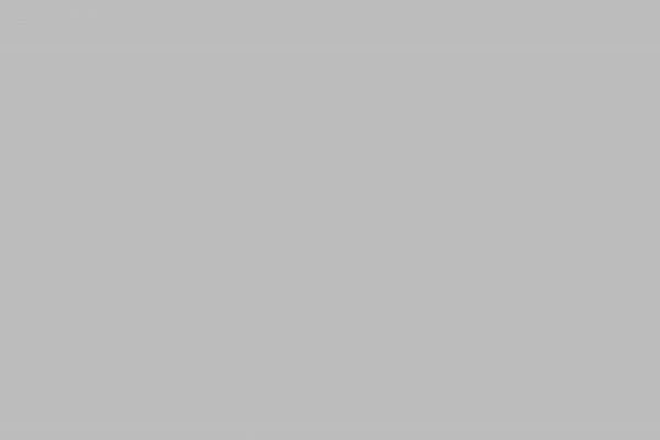 Site using Megamenu-pro plugin