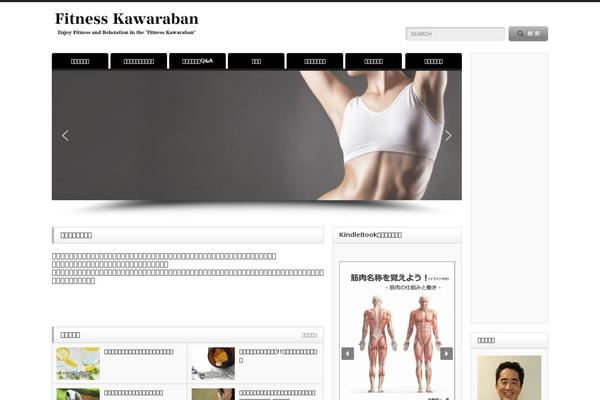 Opinion_tcd018 theme site design template sample