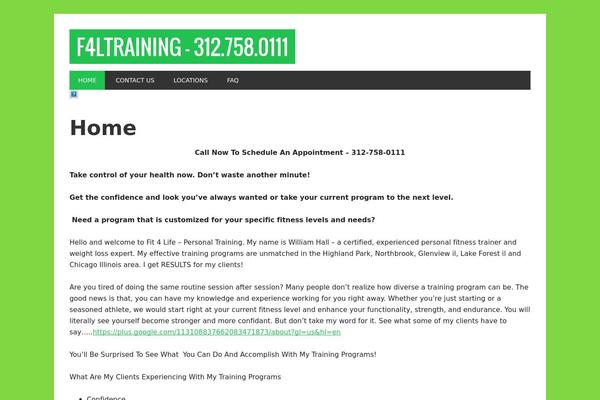 Metro Pro theme site design template sample