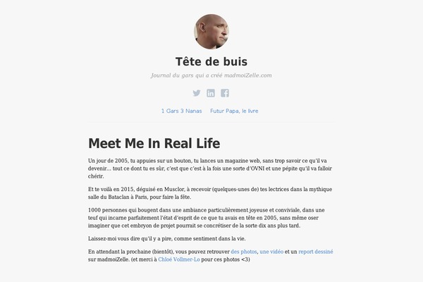 Independent Publisher theme site design template sample