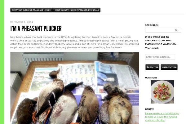 Blaskan theme site design template sample