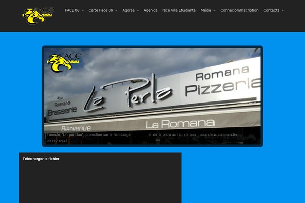 highwire-child theme websites examples