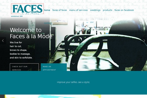 Salient theme site design template sample