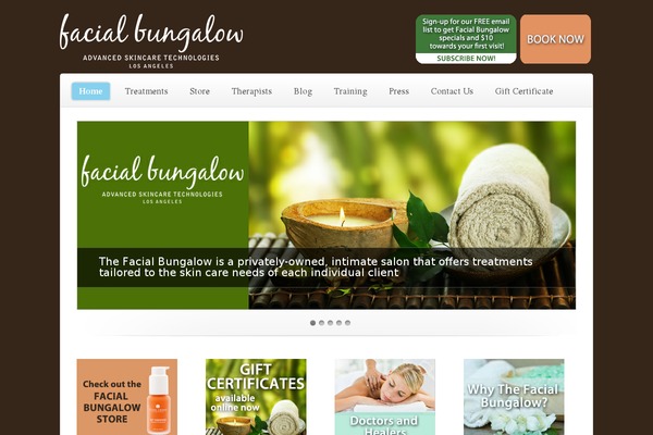 Limon theme site design template sample