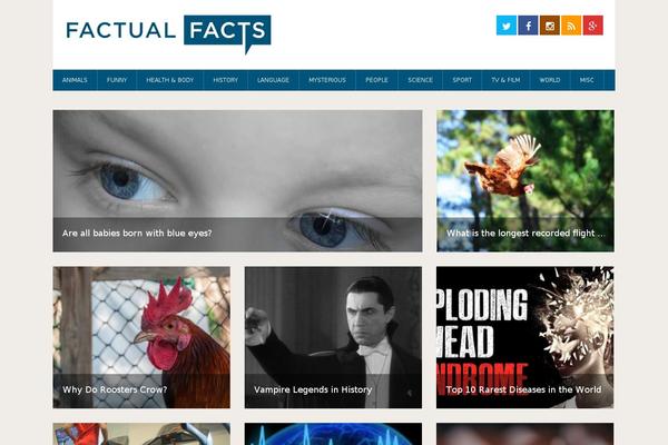 Best theme site design template sample