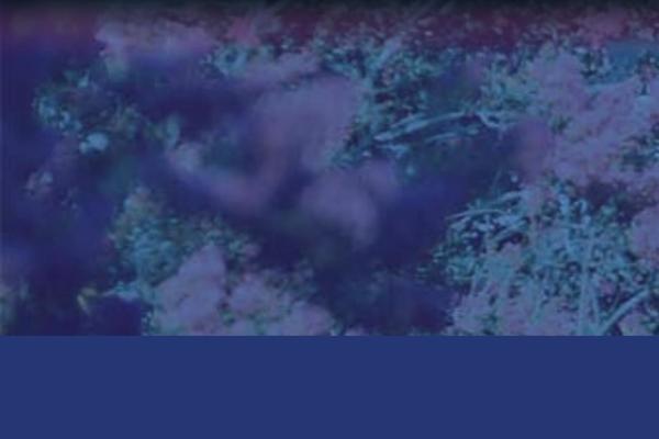 Twentyseventeen-child theme site design template sample