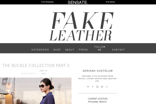 fake-leather.com site used CoverNews