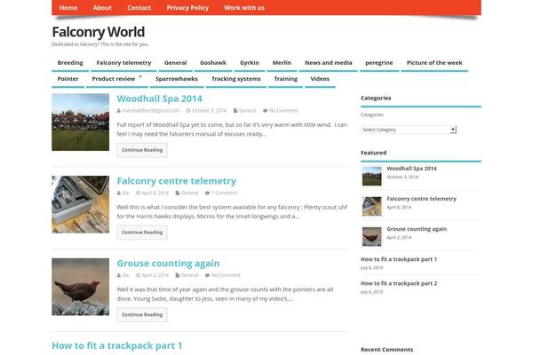 MesoColumn theme site design template sample