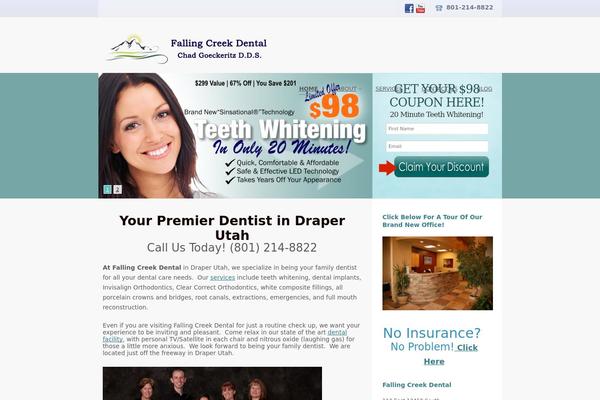 Savvy theme site design template sample