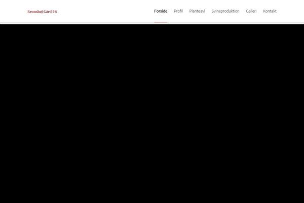 Megalith theme site design template sample