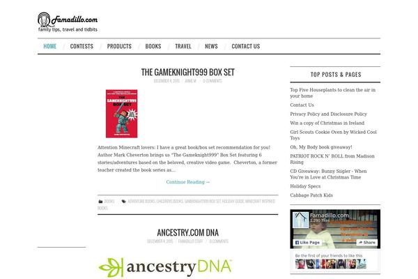 famadillo.com site used Hitmag-pro