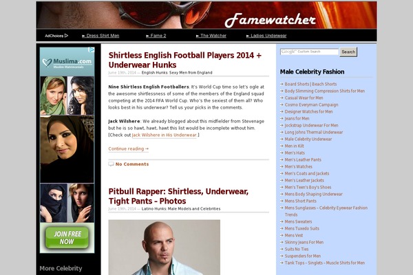 Site using Social Icons Widget by WPZOOM plugin