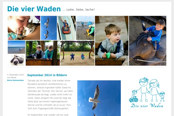 Yoko theme site design template sample