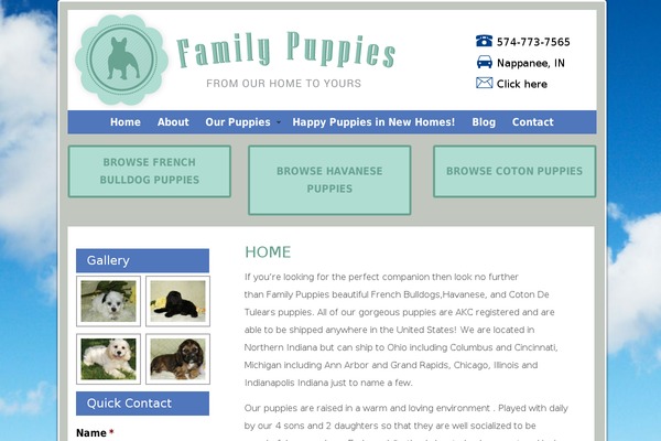 family-puppies.com site used Clean Home
