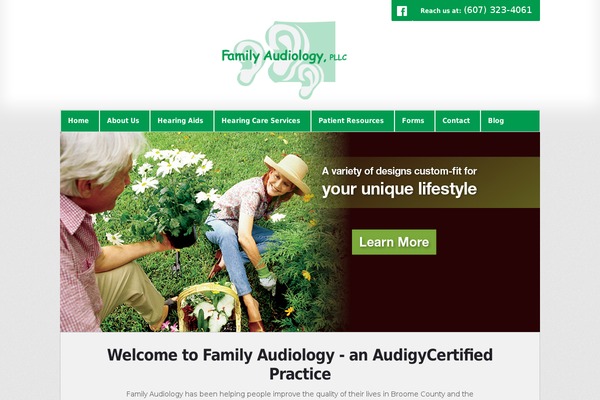 Audigy4 theme site design template sample