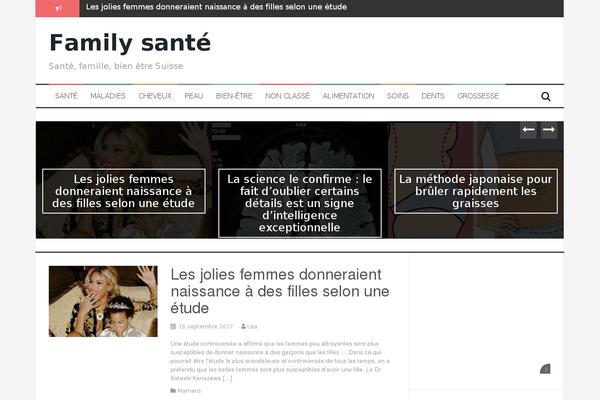 FlyMag theme site design template sample