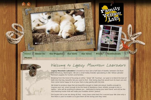 Colin theme site design template sample