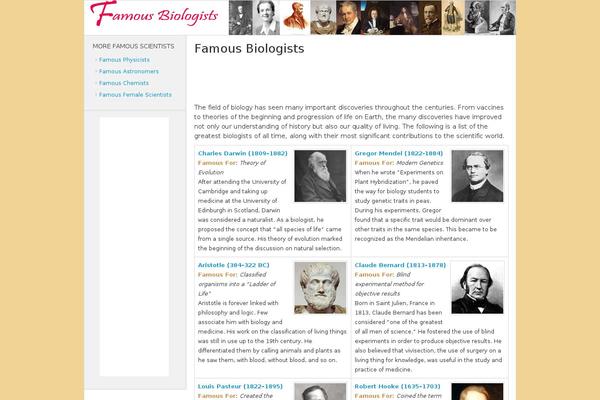 Famous theme site design template sample