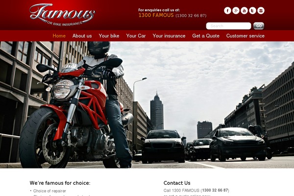 Famous theme site design template sample