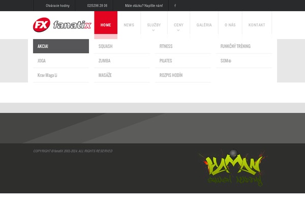 Fit Wp theme site design template sample