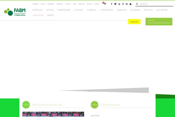 Site using Elfsight-youtube-gallery-cc plugin