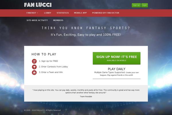 FV-Professional theme websites examples