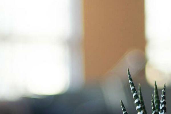 Blog-bank theme site design template sample
