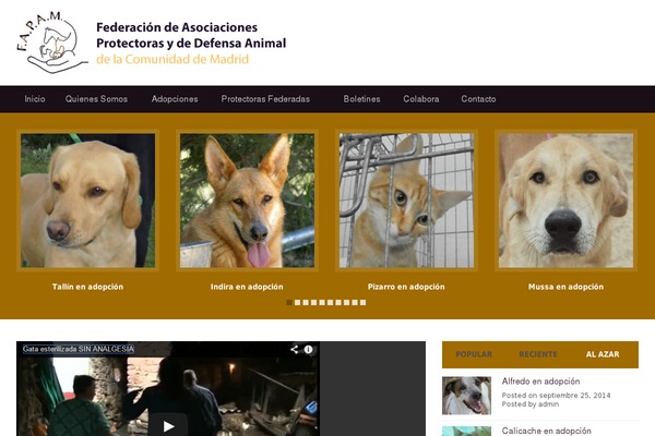 Site using WEN's Social Links plugin
