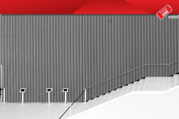 Site using Popup Maker plugin