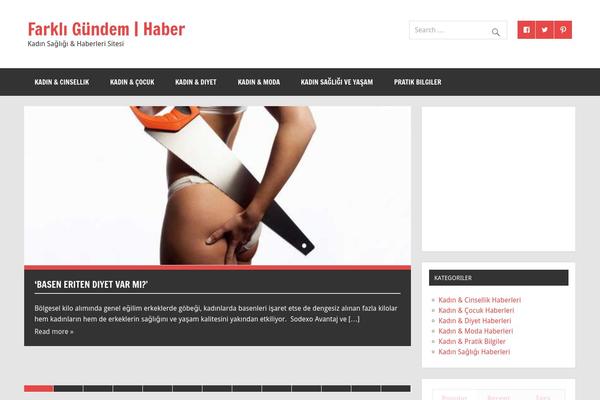 Dynamic News Lite theme site design template sample