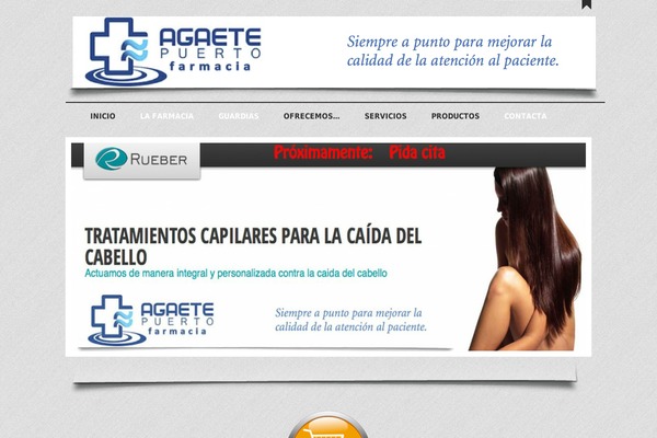 Elegantica theme site design template sample