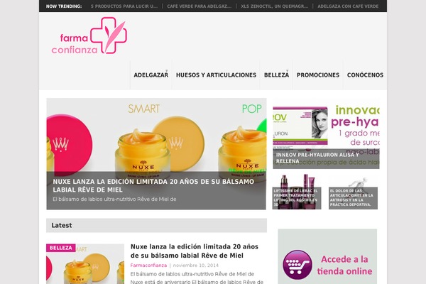 Point theme site design template sample