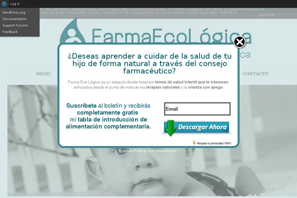 Delicate theme site design template sample