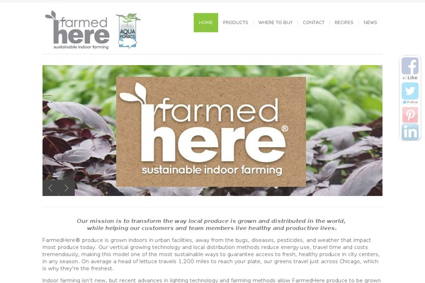Site using Brankic Twitter Widget plugin