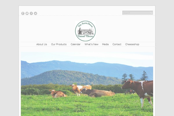 Golden Eagle theme site design template sample