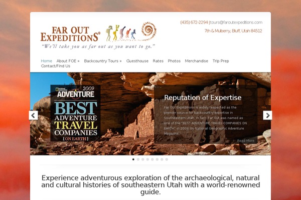 Chameleon theme site design template sample