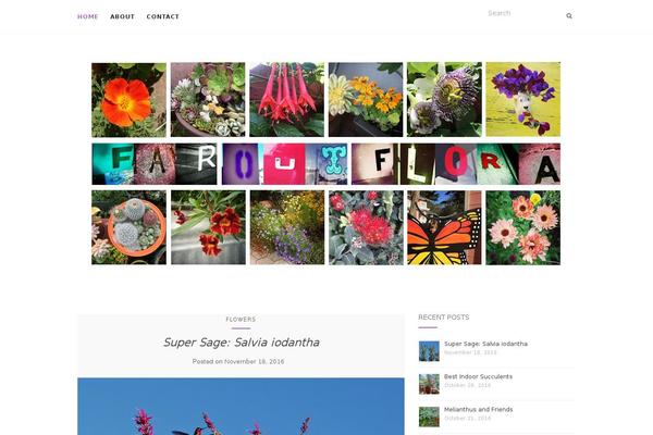 Site using Instagram Plugin - InstaLinker plugin
