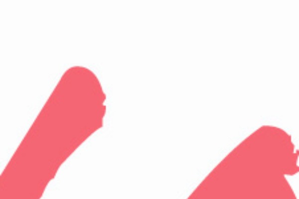Nonus theme site design template sample