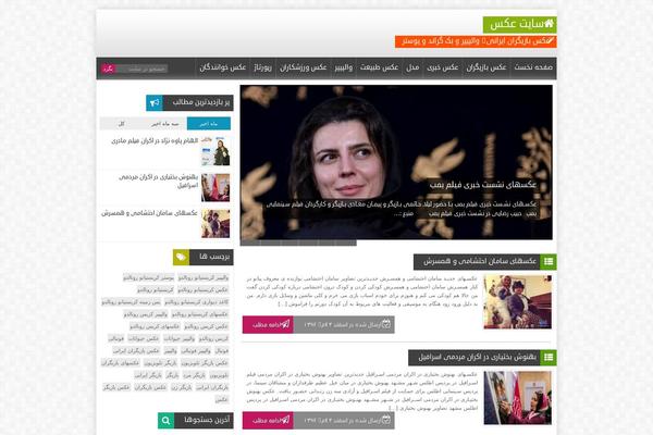 Flat Theme theme site design template sample