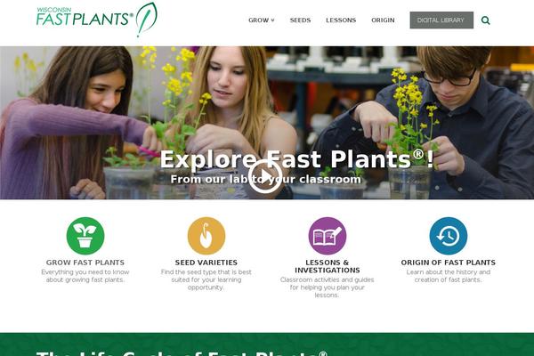 X Child theme site design template sample