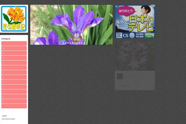 Grider_tcd015 theme site design template sample