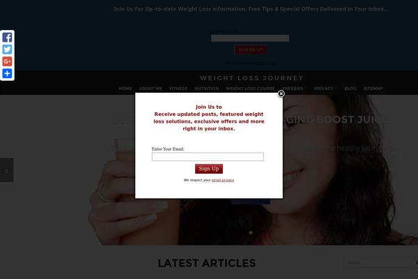 SteadyIncome theme site design template sample