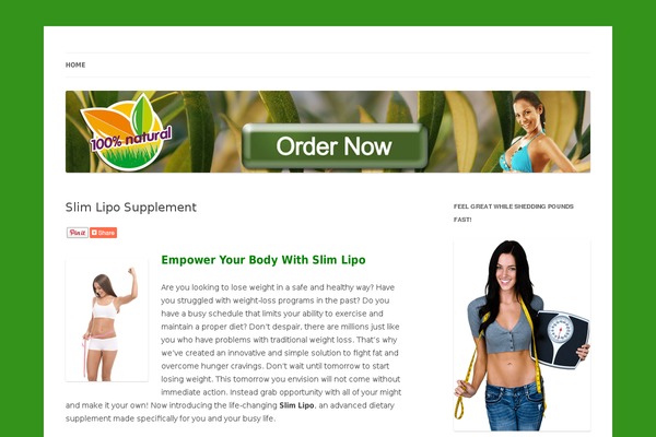 Twentytwelve1 theme site design template sample