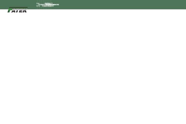 fatek.it site used Massive-dynamic