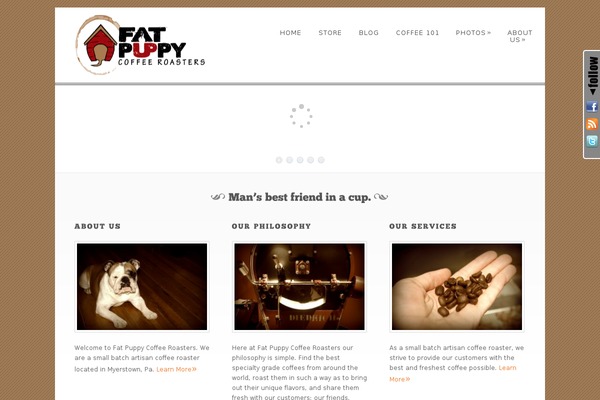 Dandelion theme site design template sample