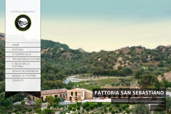 SKT Full Width theme site design template sample