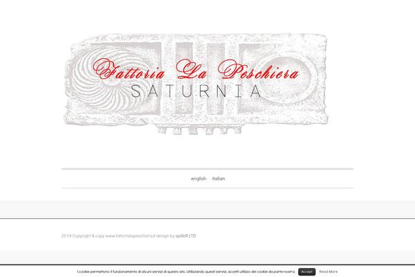 Clean-retina-pro theme site design template sample