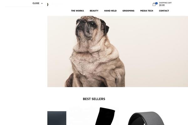 Site using Opal-theme-framework plugin