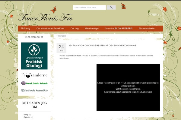 XMarket theme site design template sample